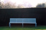 Painted wooden bench with yew hedge