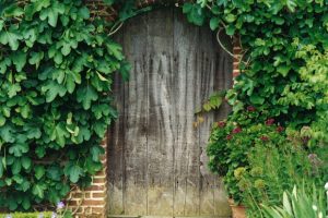 Wooden door in brick wall