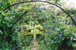 Metal arches with path and clematis