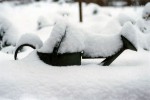 Metal watering can in snow