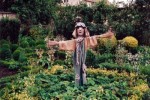 Scarecrow in kitchen garden