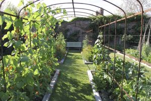 Arches in Sara's kitchen garden